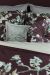 Beddinghouse x Van Gogh Fleurir Longue Cushion - Sand