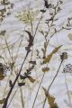Beddinghouse Grasses - Natural
