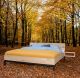 Steigerhouten bed Flow - Livengo