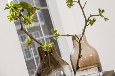 Groen in je interieur: zo haal je de lente in huis!