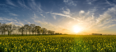 4 tips voor als je je bed niet uit kunt komen