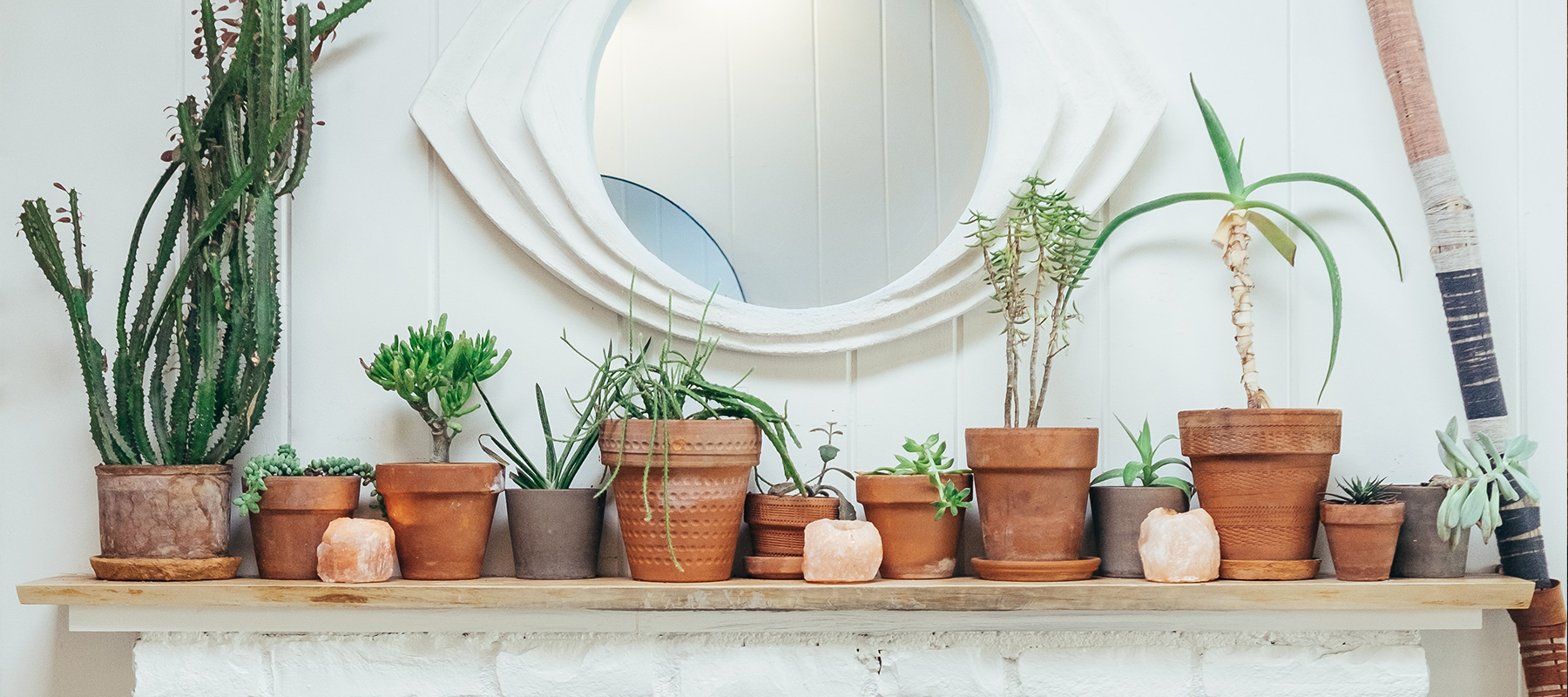 Blog zo maak je jouw slaapkamer zomerklaar - groene planten